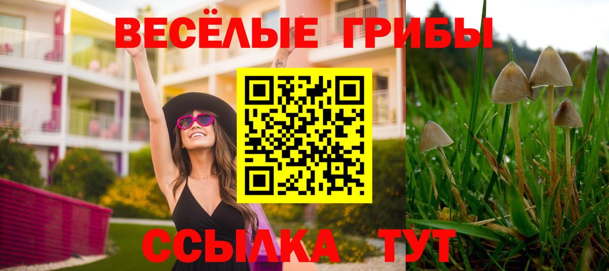 Галлюциногенные грибы ЛСД  Вход с VPN  Бугуруслан 
